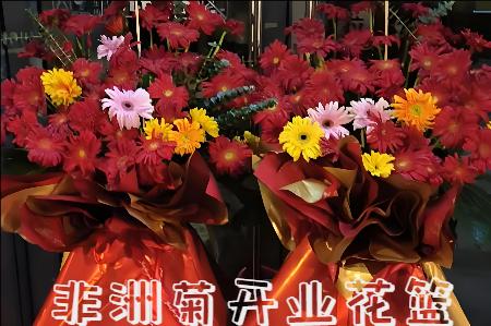 平顶山鲁山县开业花篮